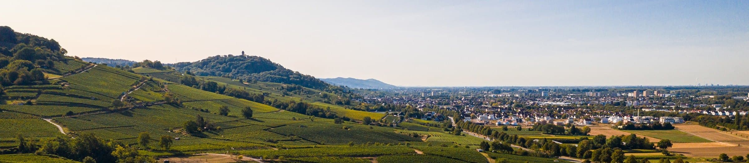 Blick über die Weinberge der Bergstraße auf Bensheim und die Rheinebene