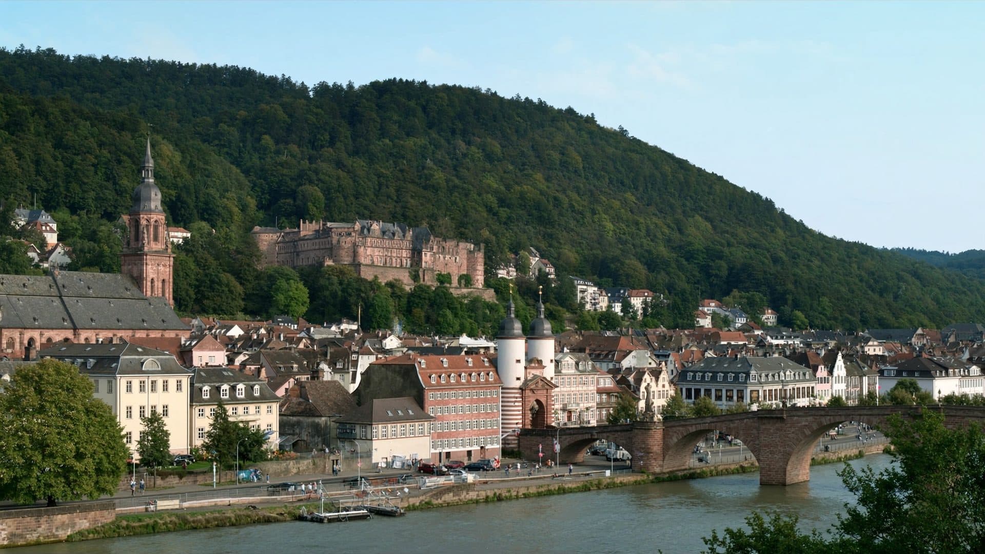 Heidelberger Altstadt mit Alter Brücke, Schloss und Neckar